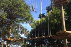 better soph spider web