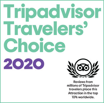 TripAdvisor Travelers' Choice Award 2020