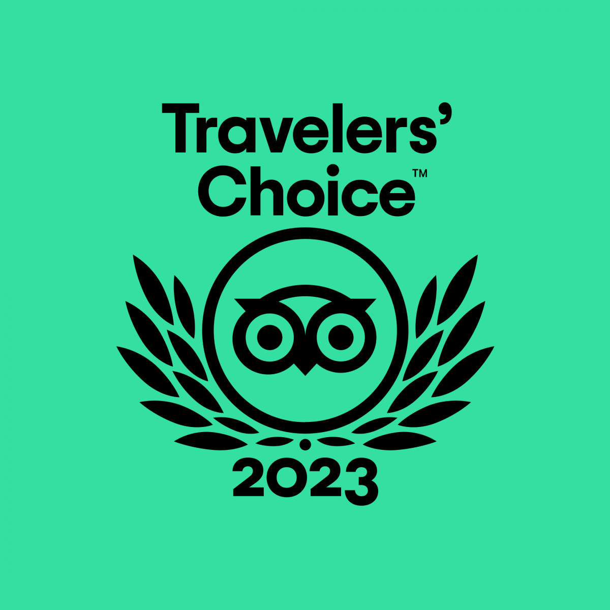TripAdvisor Travelers' Choice Award 2020